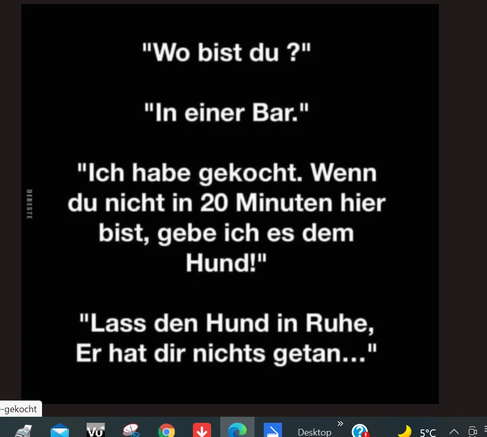 Hund.webp