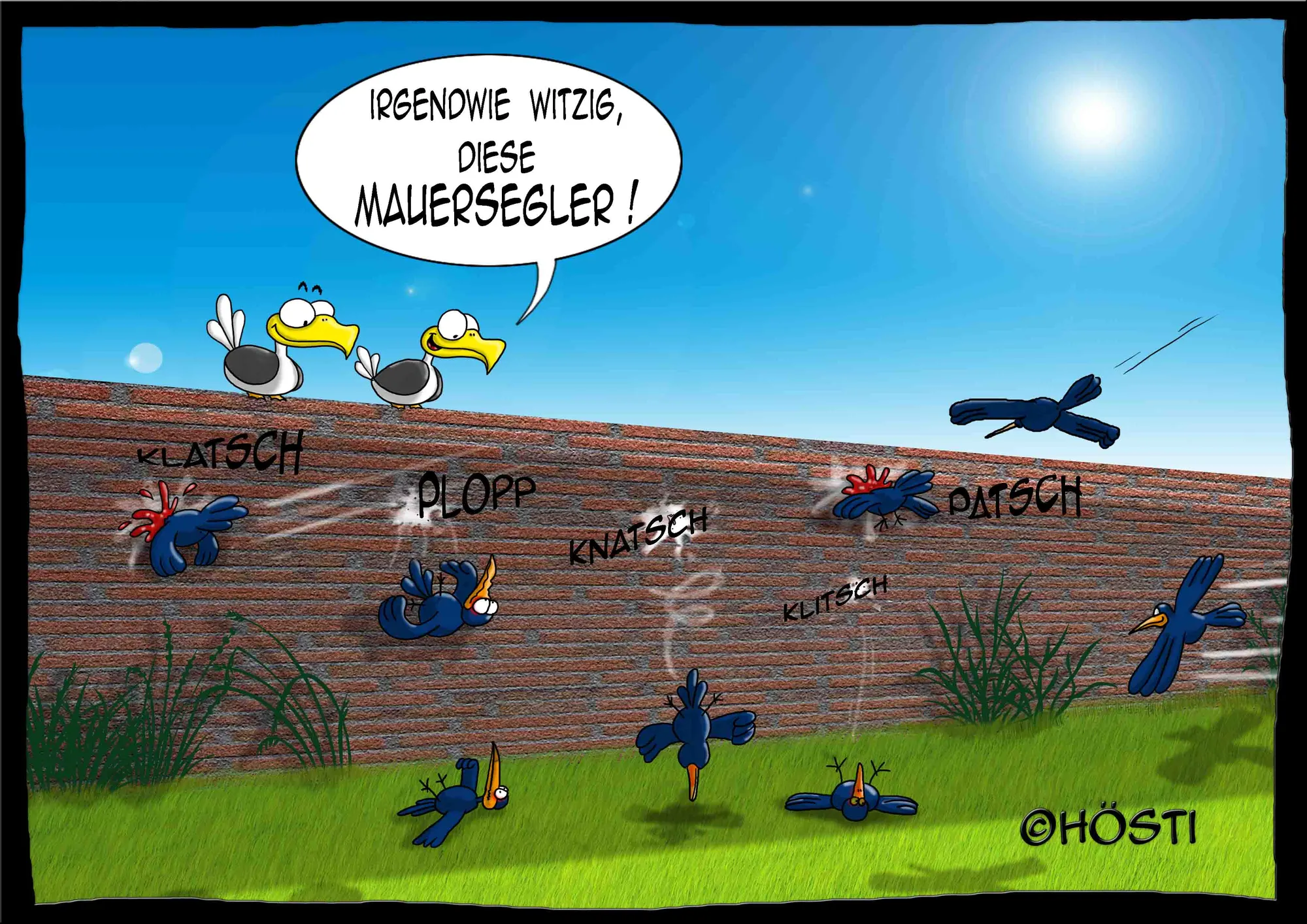 HVK-Mauersegler-1865635284.webp