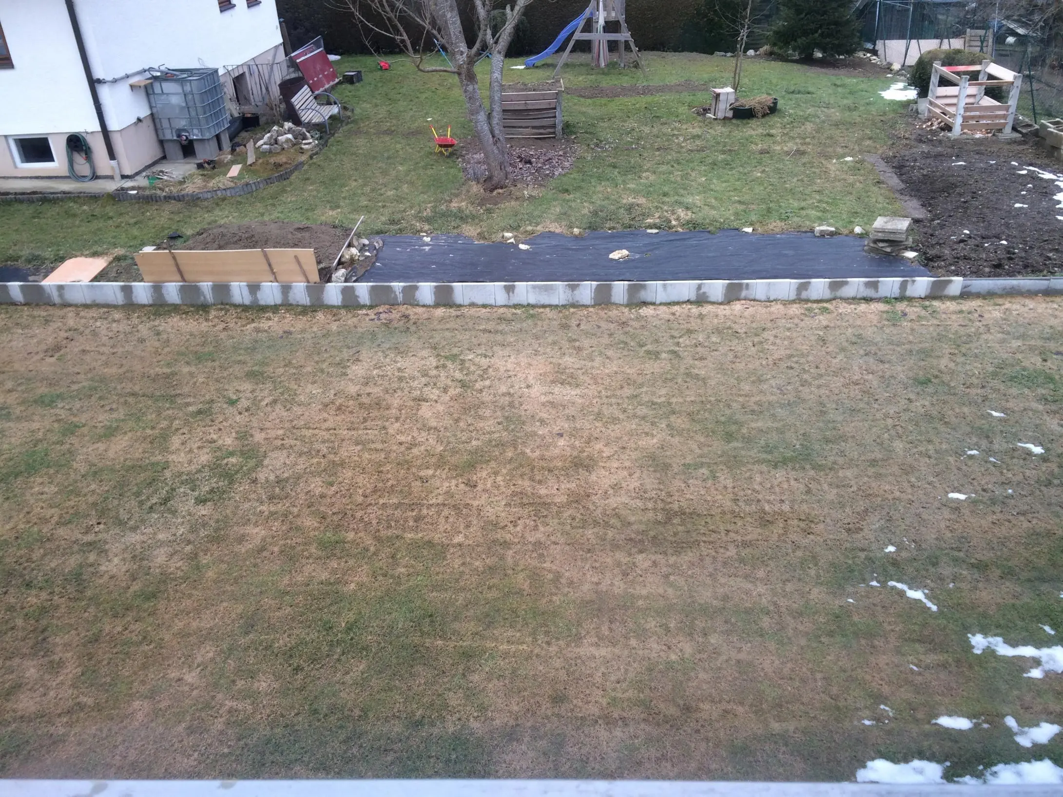 Rasen nach Winter braun und fleckig