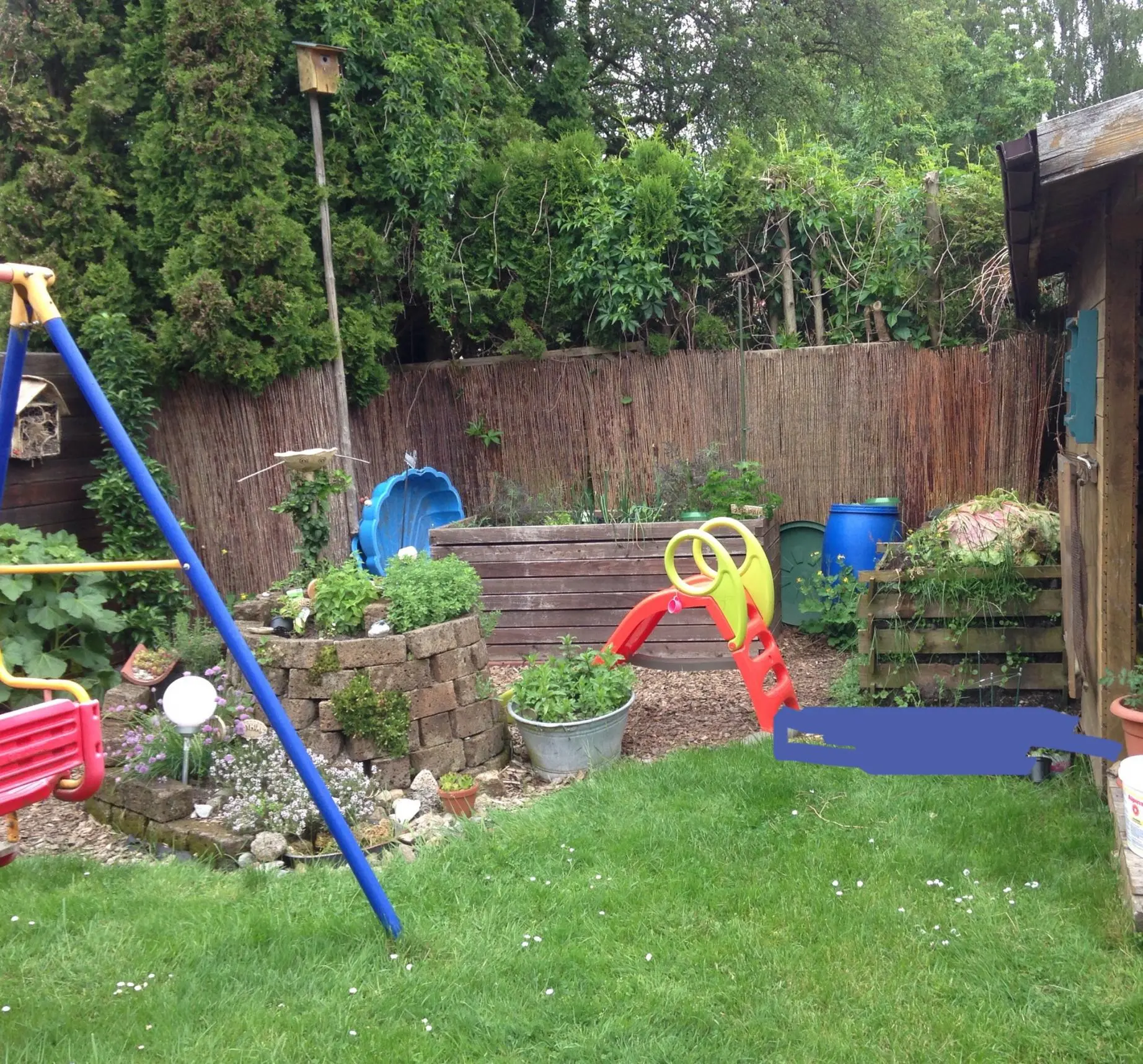Schmale Hecke als Sichtschutz