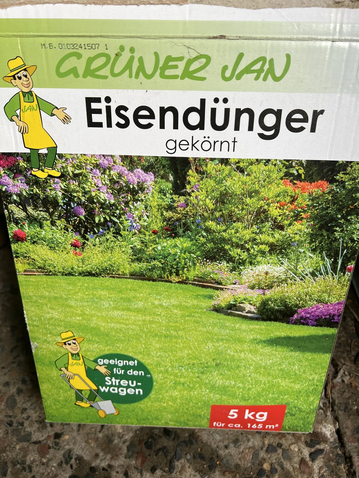 image.webp