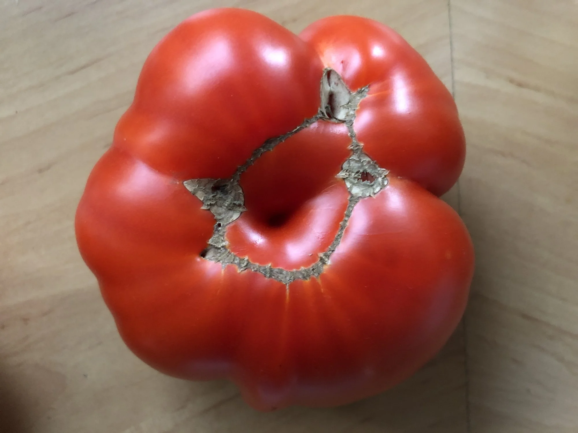 image.webp