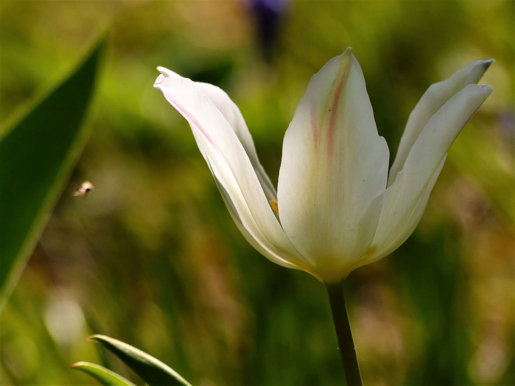 image001.webp