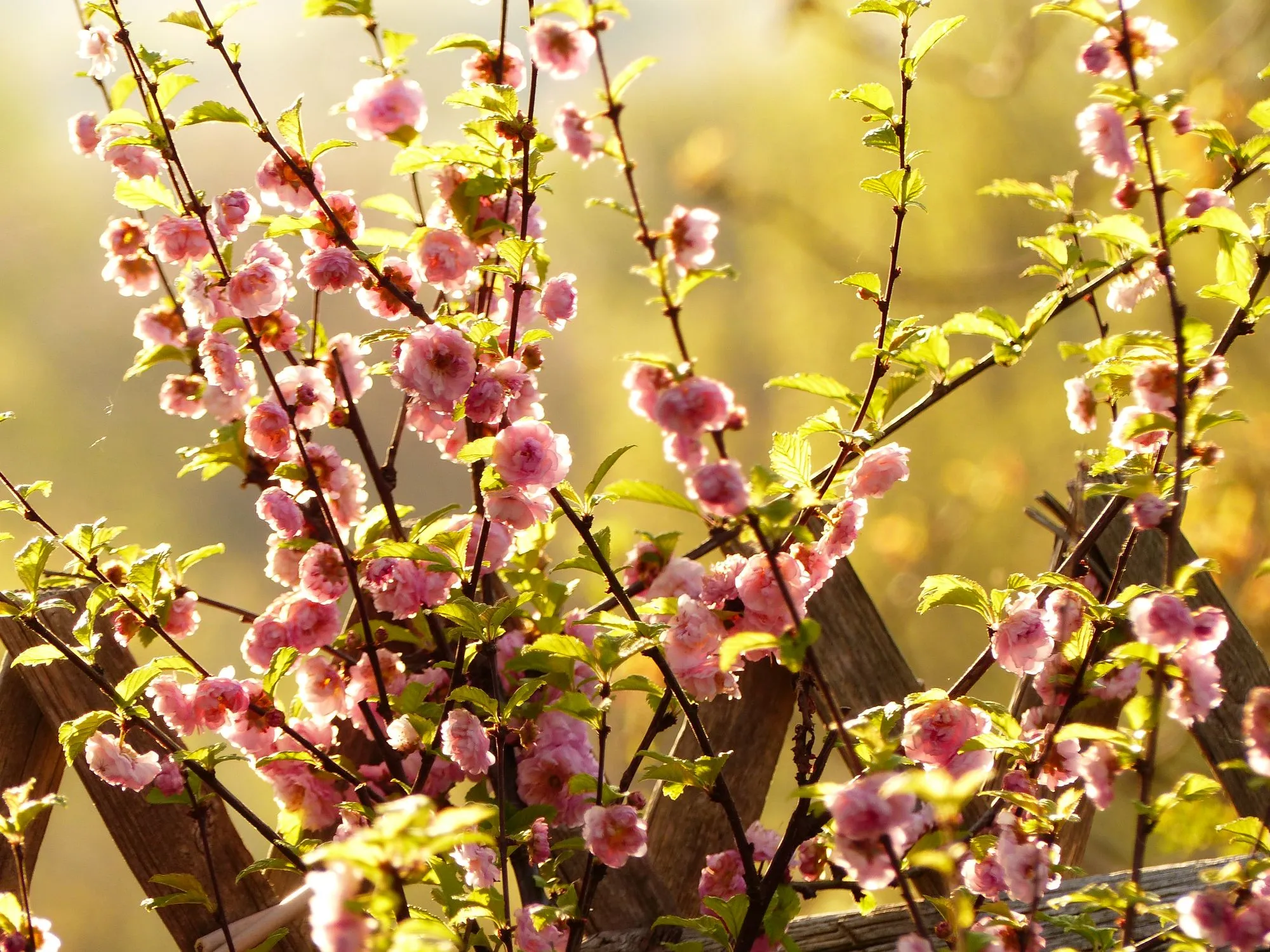 image002.webp