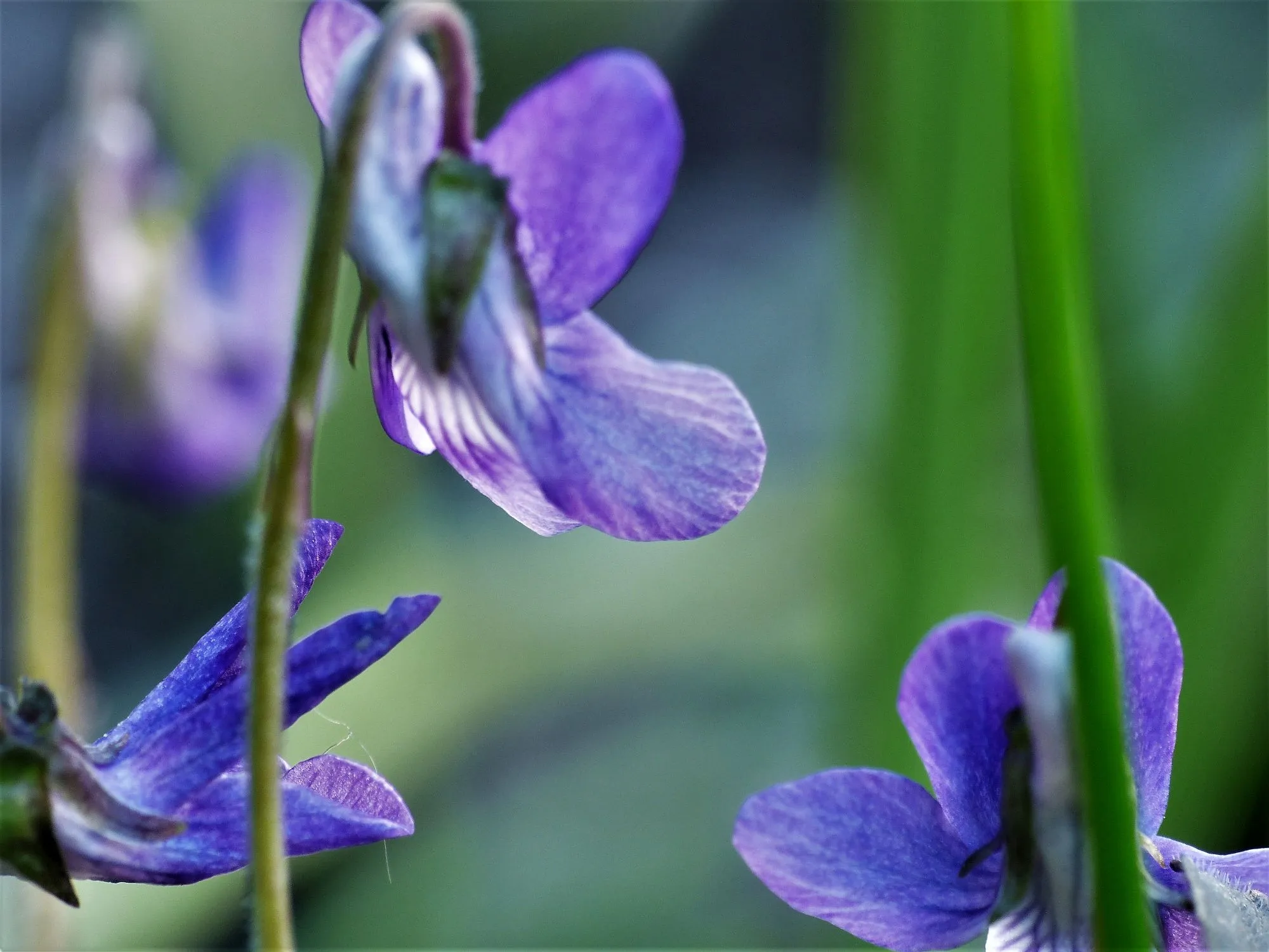 image019.webp