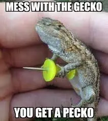 683648