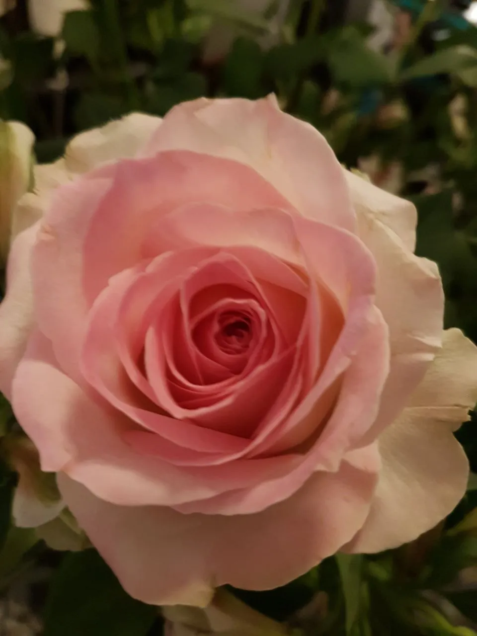 IMG-20180316-WA0006.webp