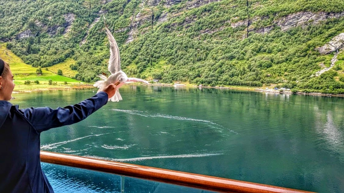 IMG-20180715-WA0012 (1).webp