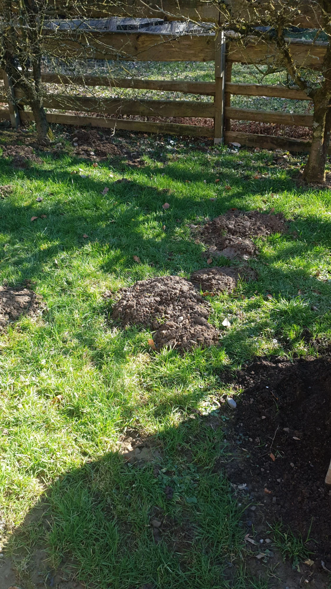 IMG-20190224-WA0011.webp