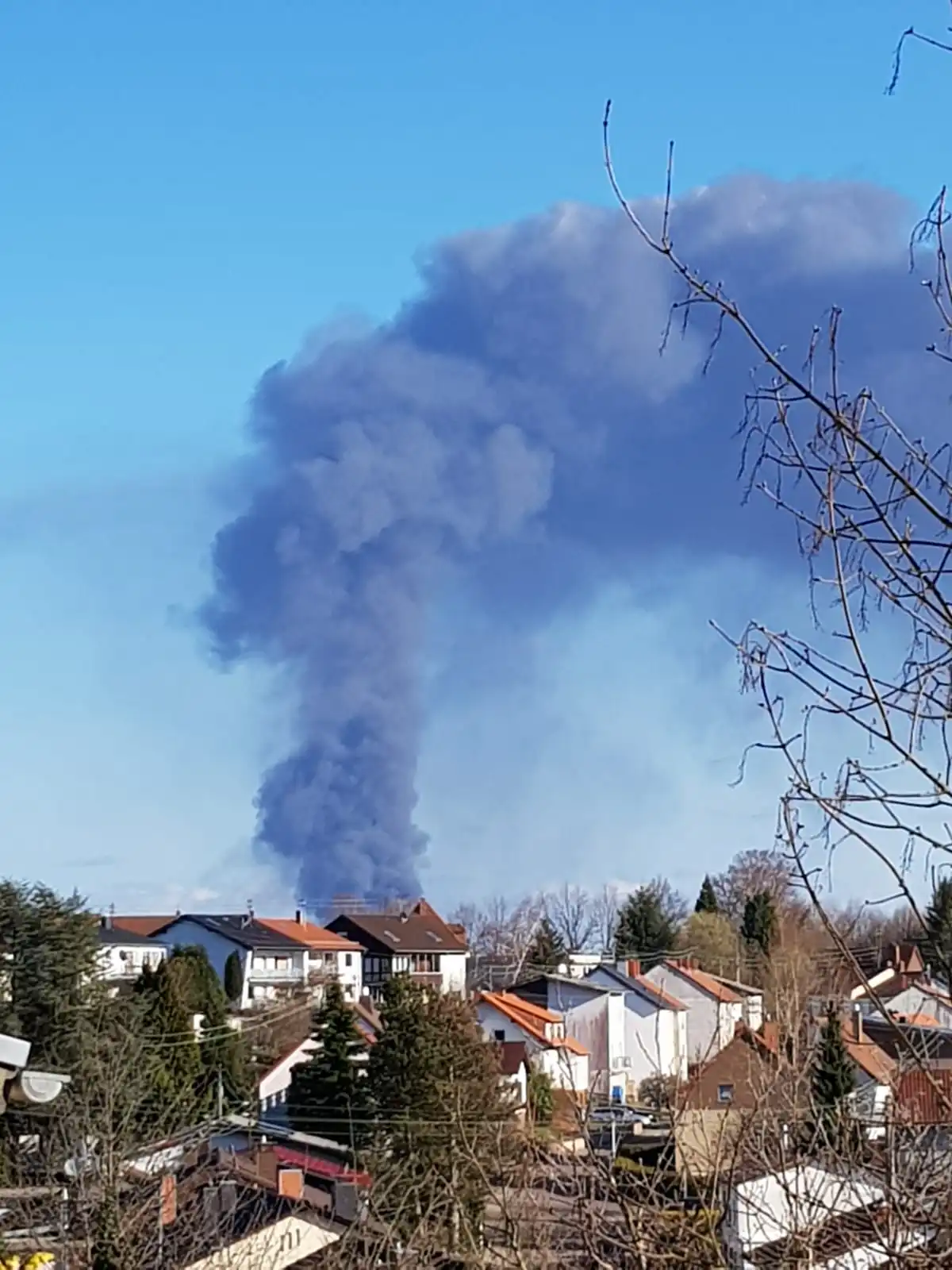 IMG-20190319-WA0005.webp