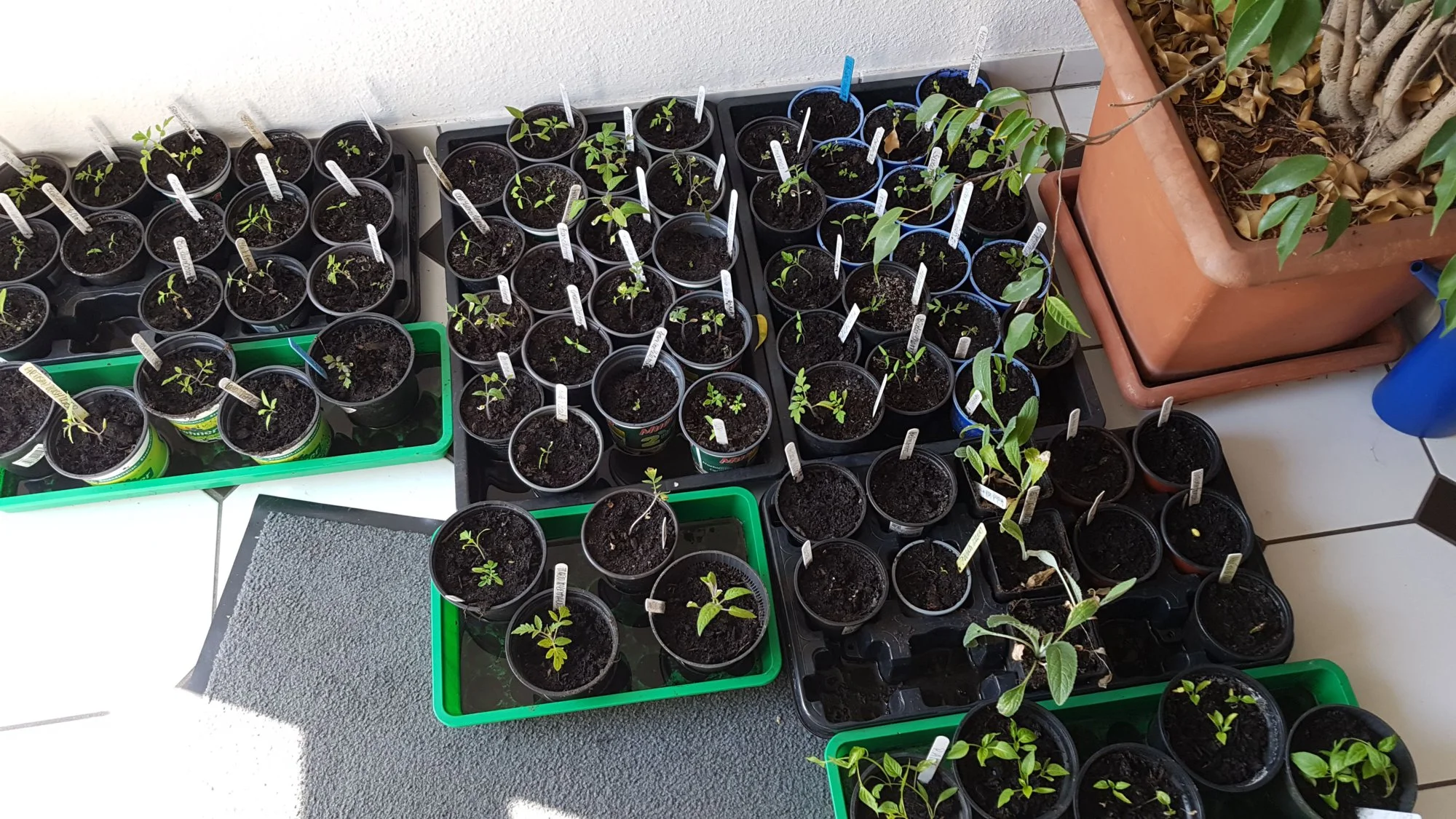 IMG-20190419-WA0000.webp