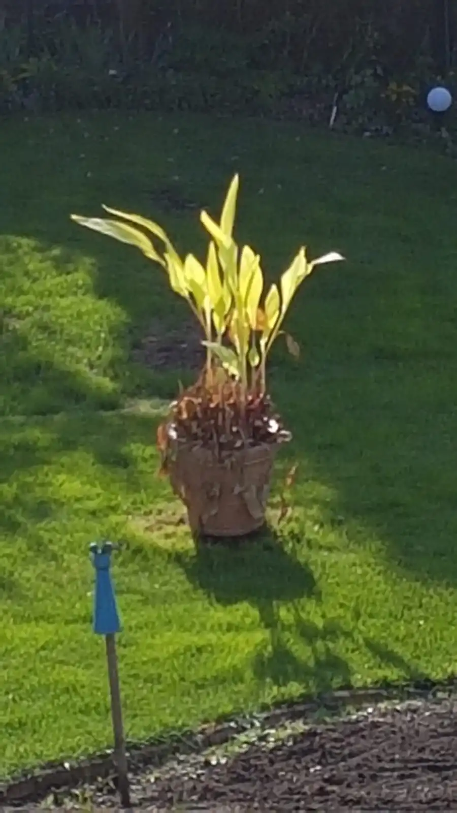 IMG-20190506-WA0000.webp