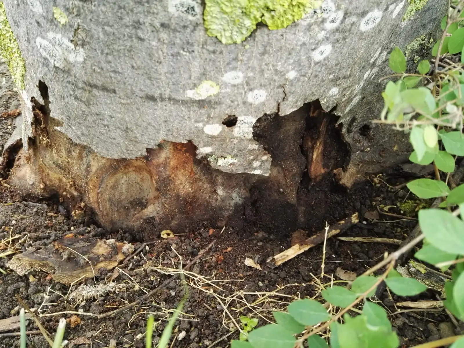 IMG-20190611-WA0001.webp