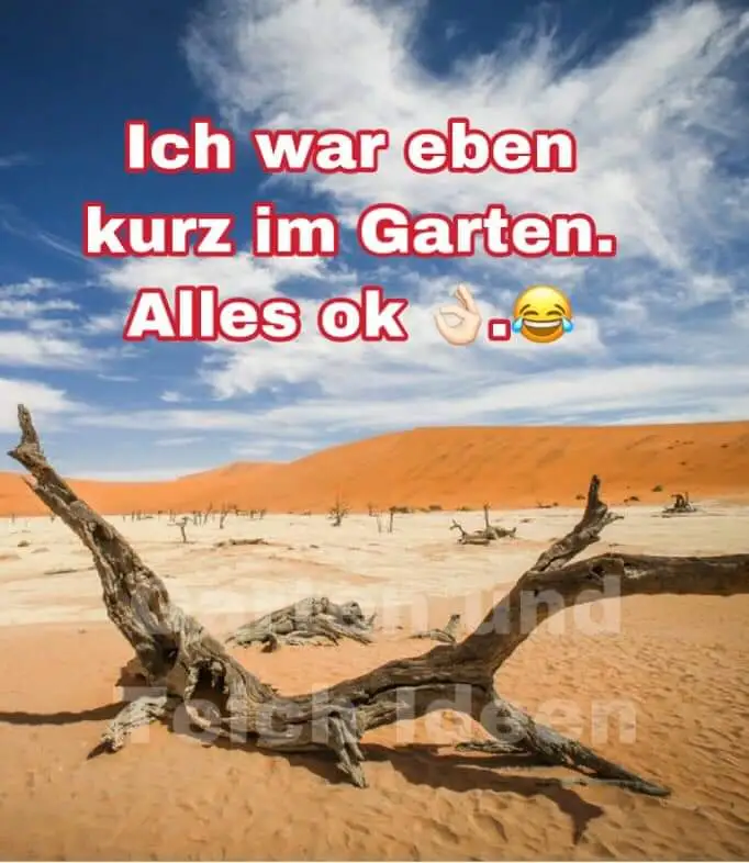 IMG-20190727-WA0000.webp