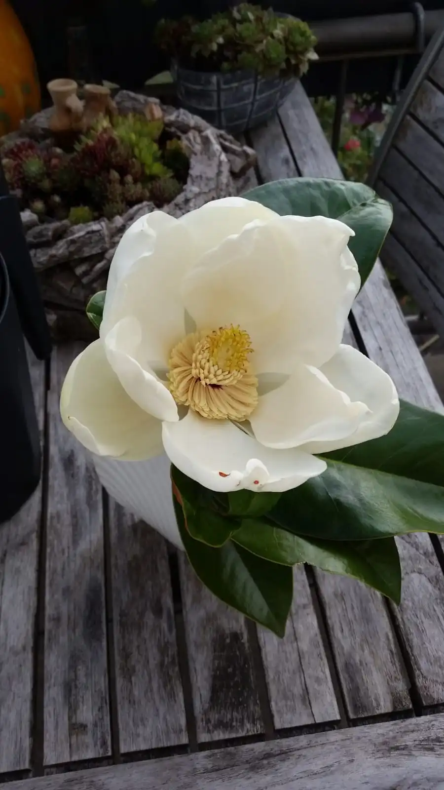 IMG-20190802-WA0002.webp