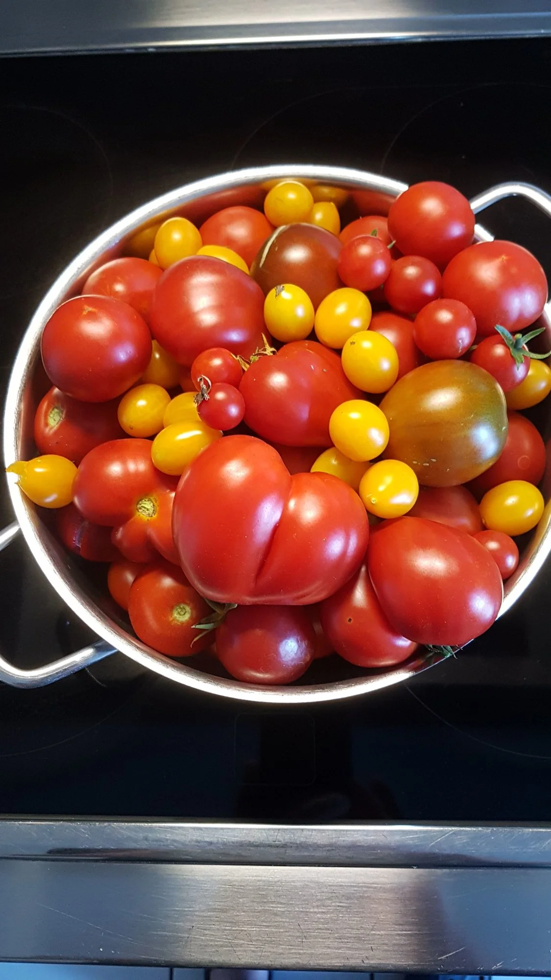 IMG-20190830-WA0005.webp
