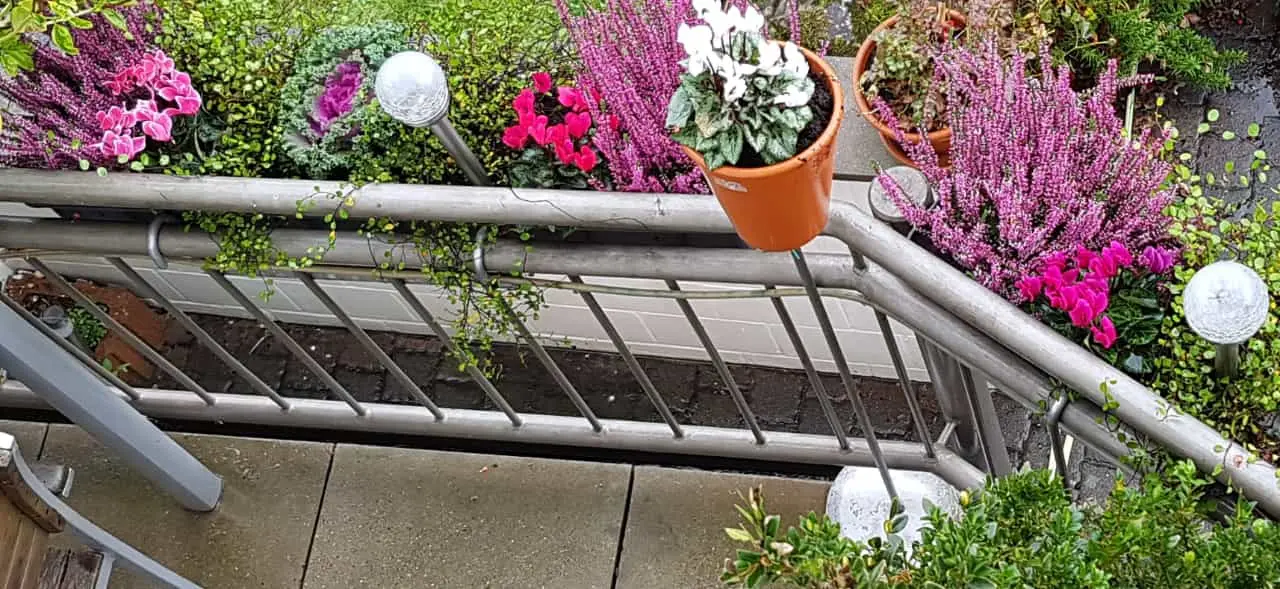 IMG-20190927-WA0000.webp