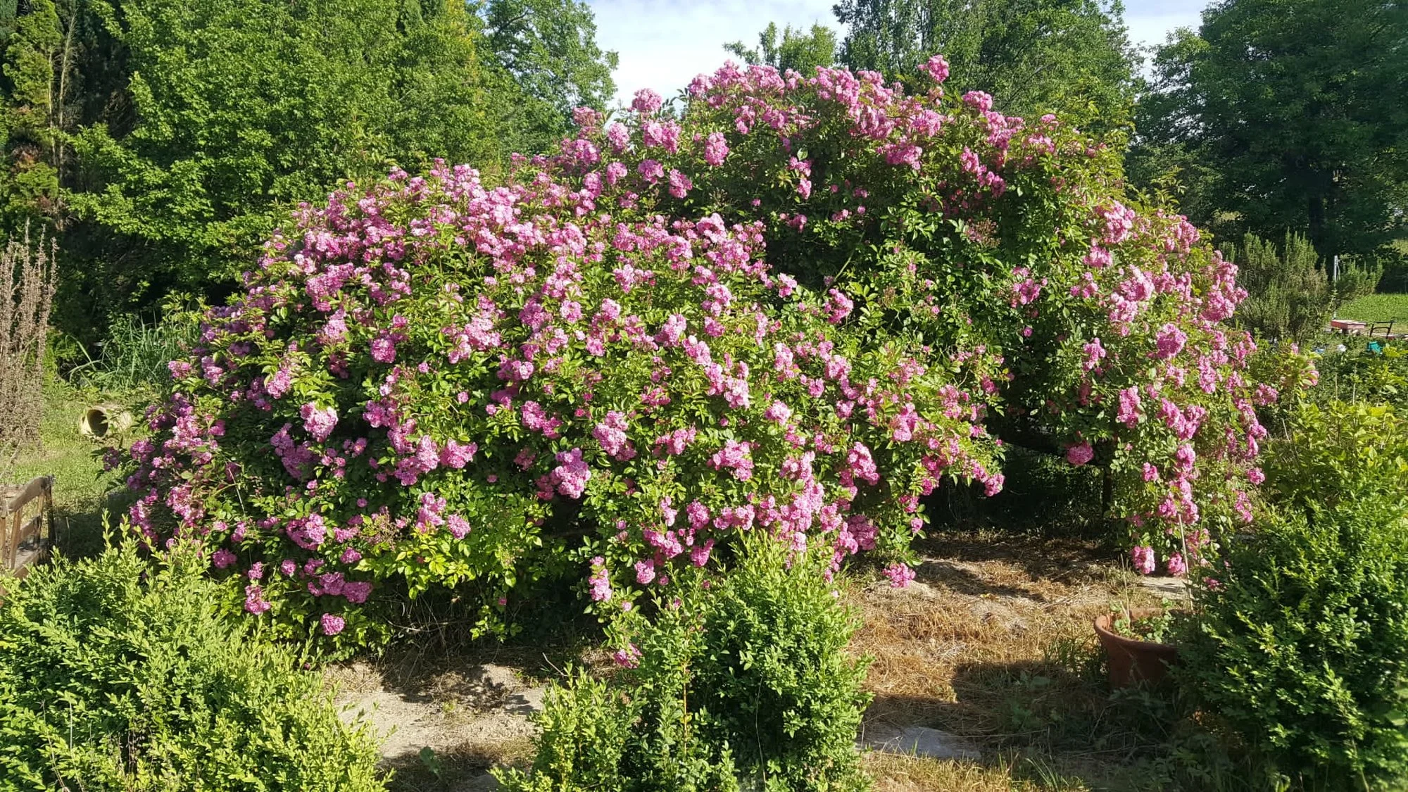 IMG-20220601-WA0008.webp