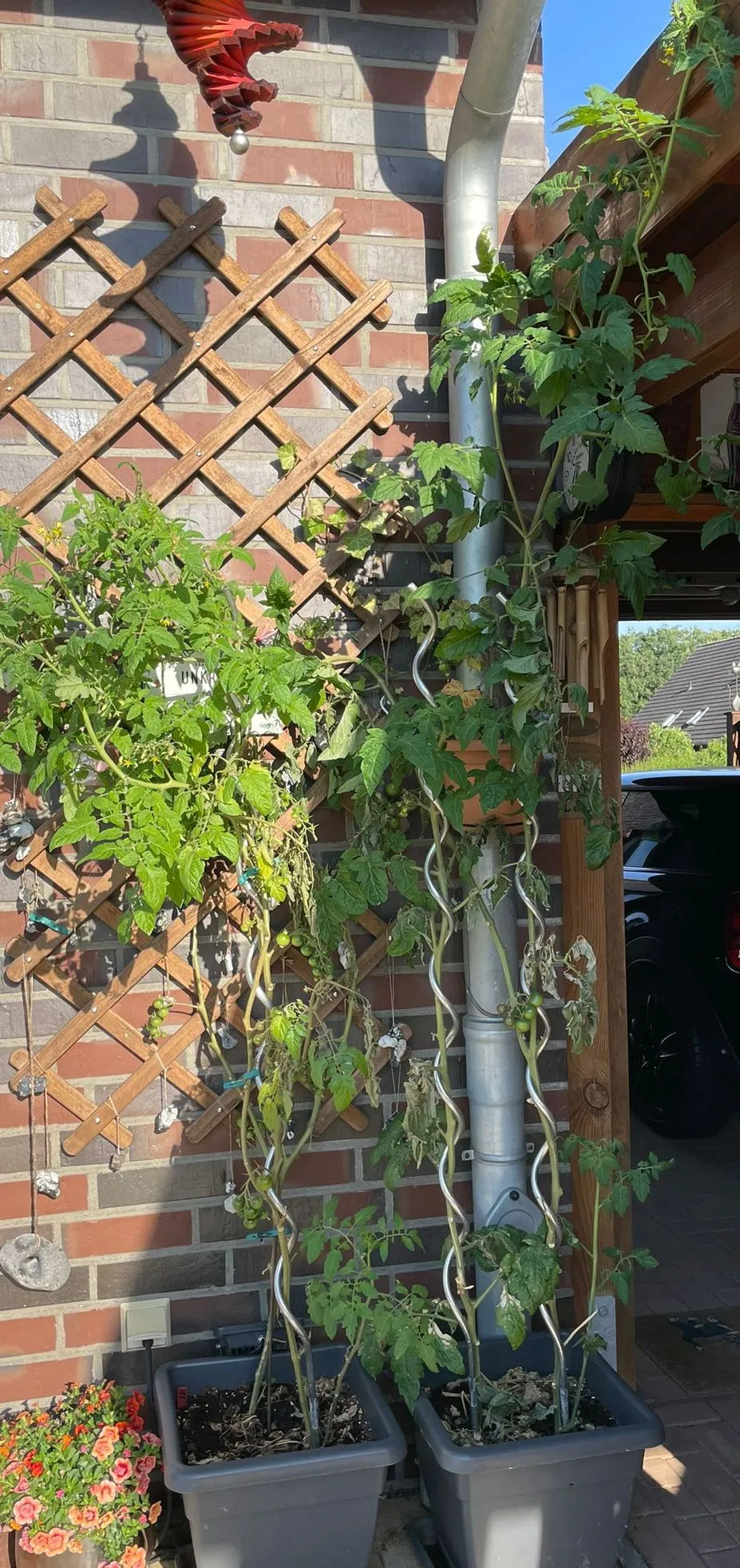 IMG-20220722-WA0001.webp