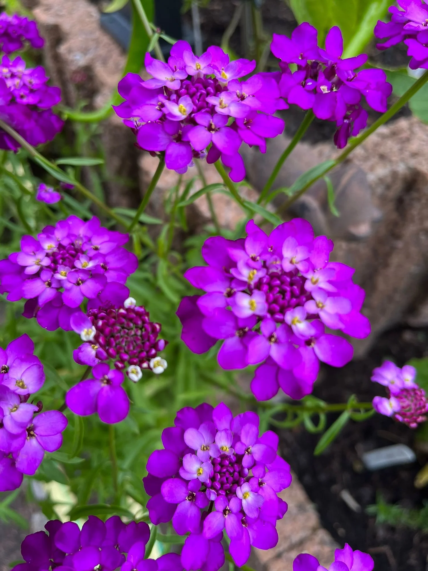 IMG-20230828-WA0002.webp