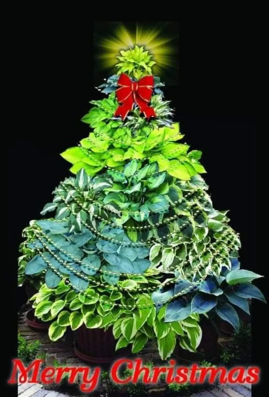 IMG-20231224-WA0014.webp