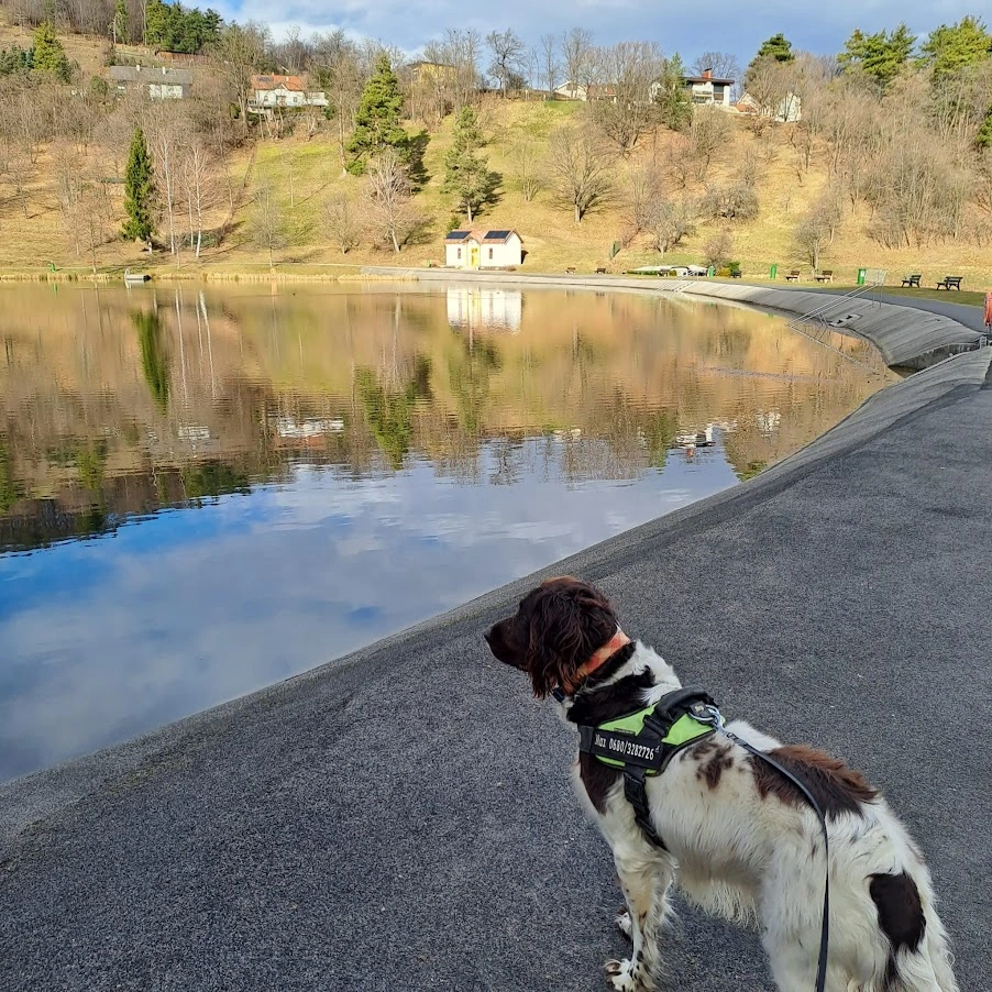 IMG-20240208-WA0003.webp