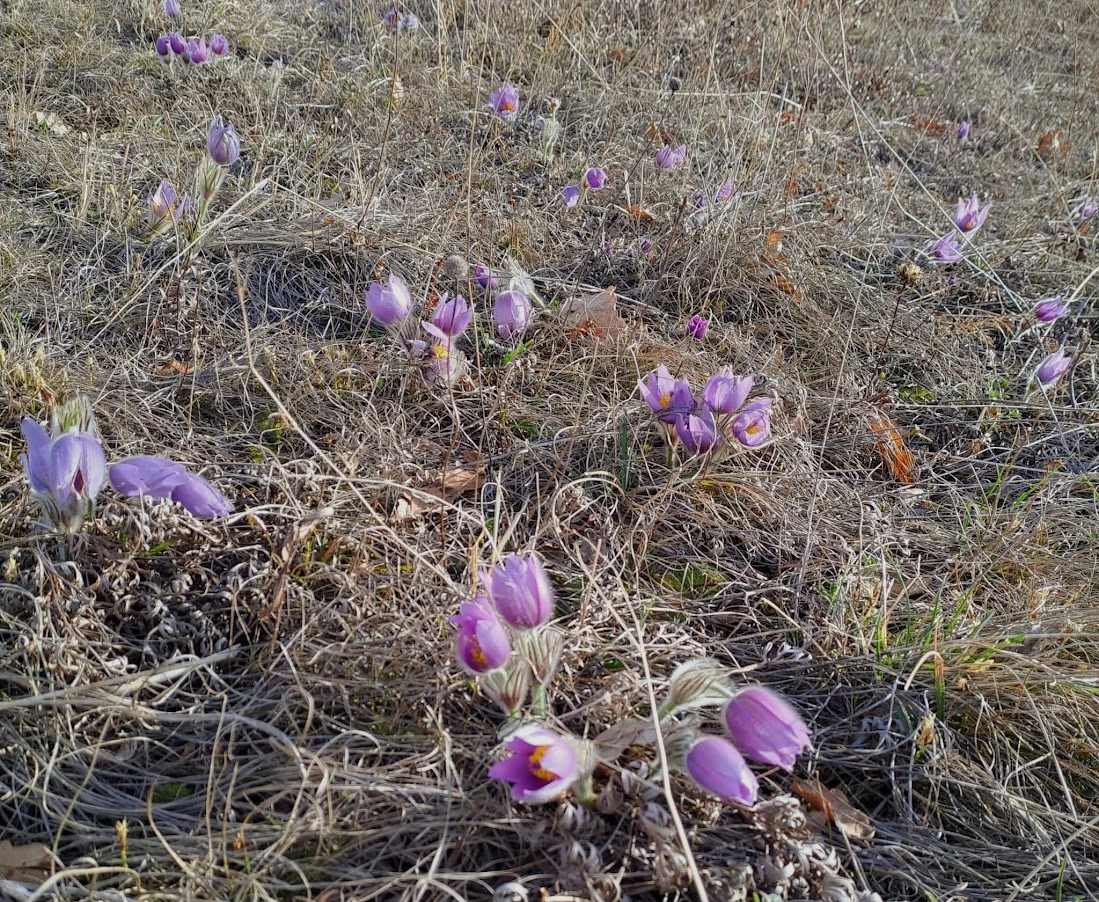 IMG-20240226-WA0009.webp