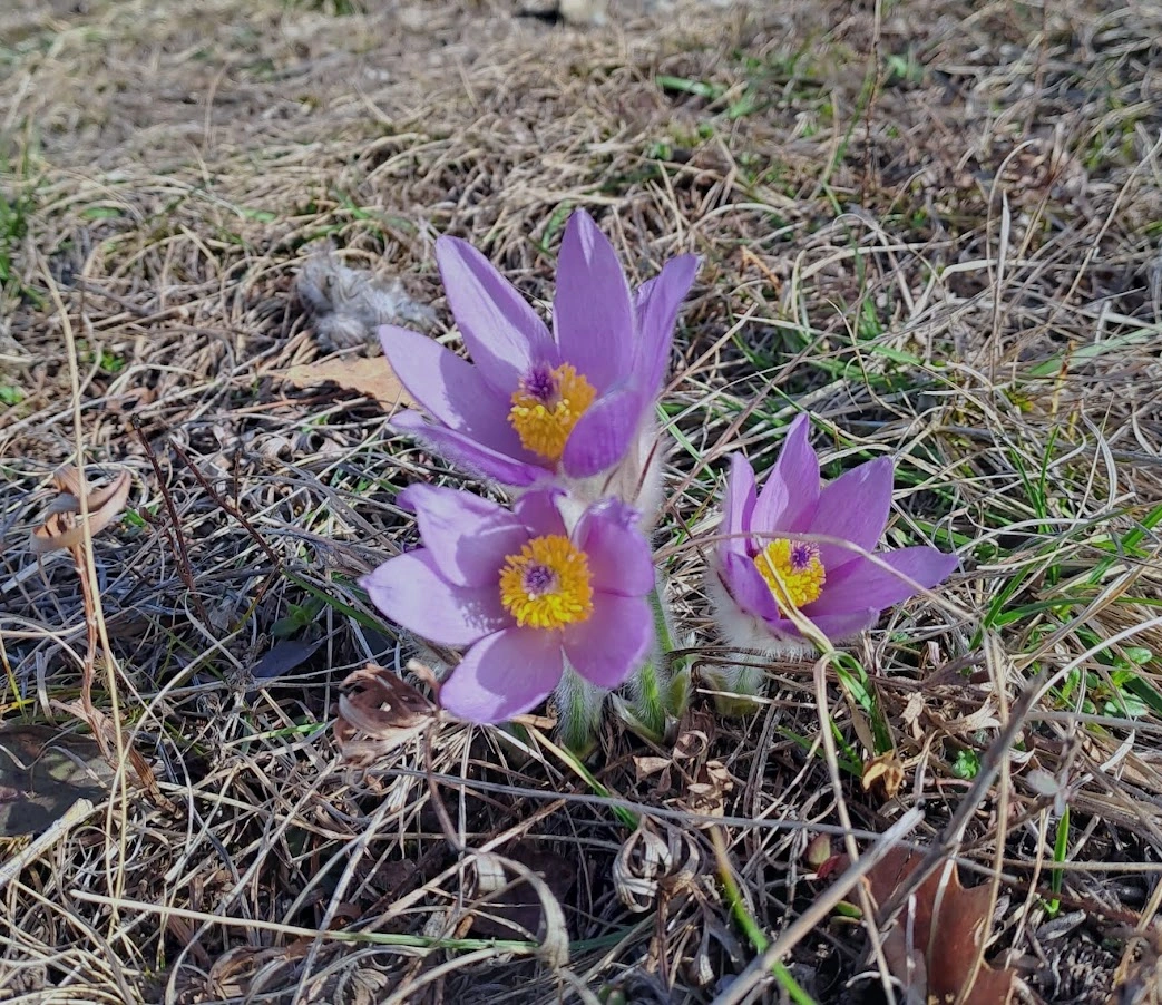 IMG-20240226-WA0011.webp