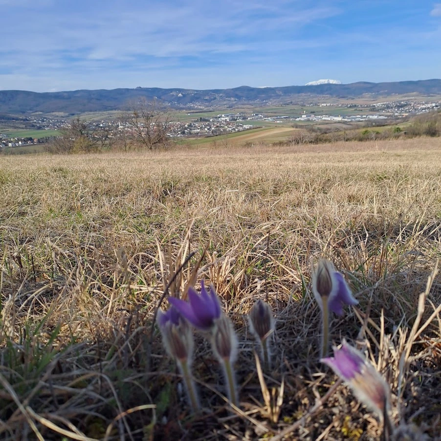 IMG-20240226-WA0014.webp