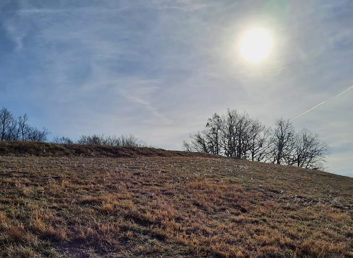 IMG-20240226-WA0026.webp