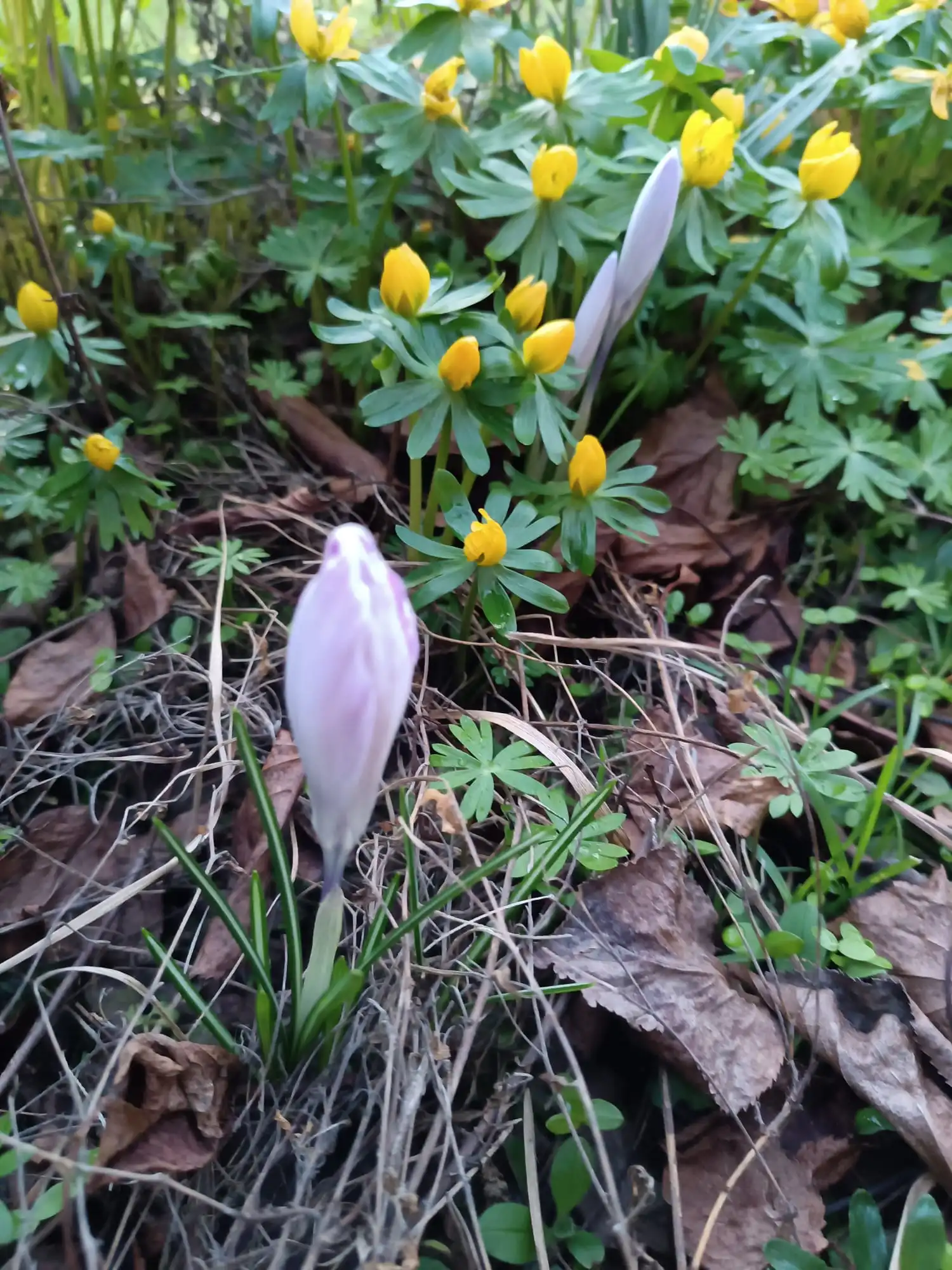 IMG-20240227-WA0010.webp