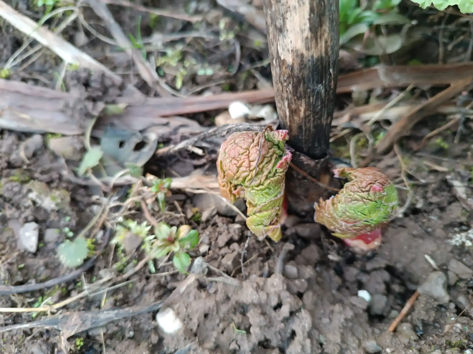 IMG-20240227-WA0035.webp