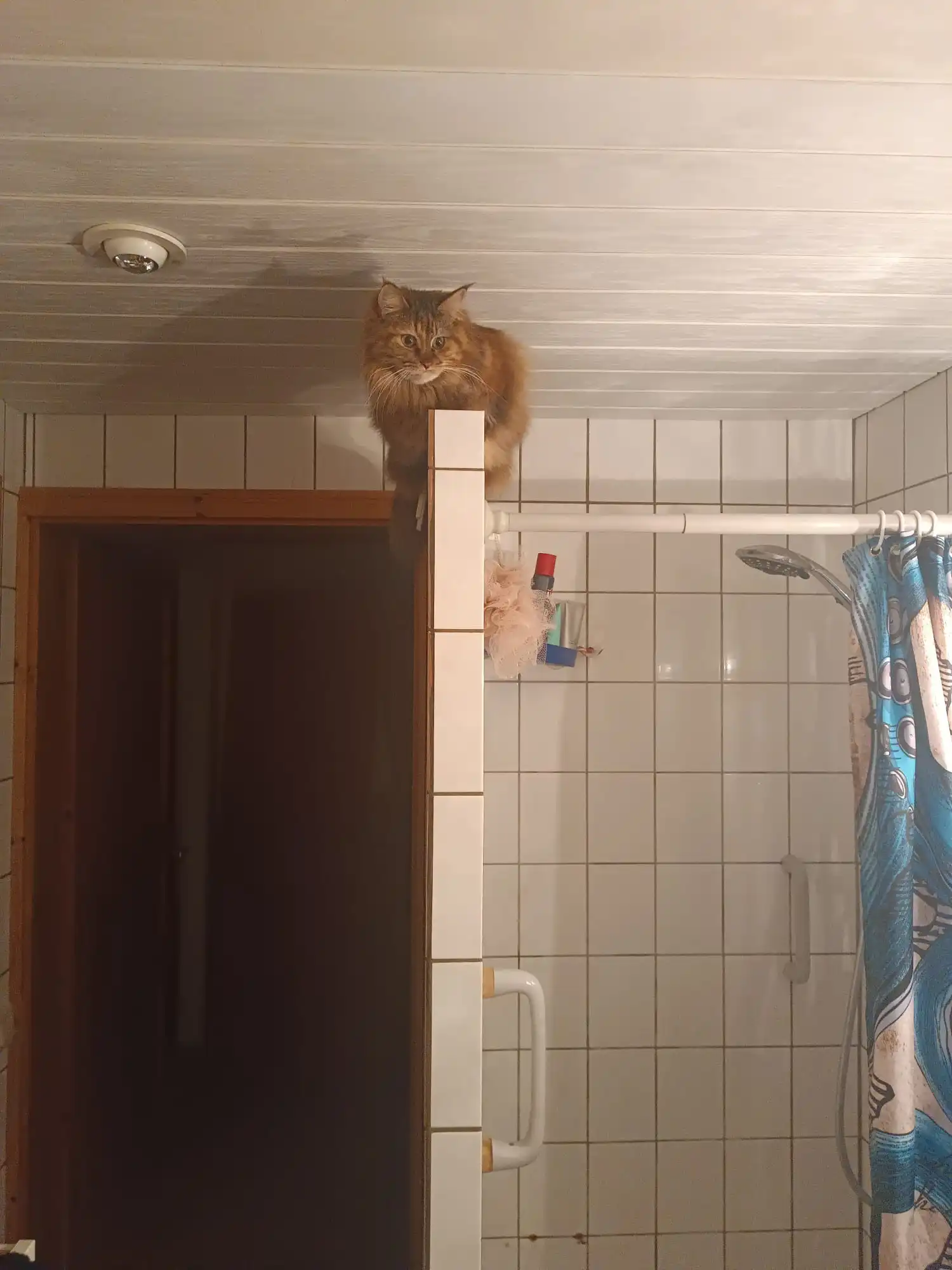 IMG-20240315-WA0003.webp
