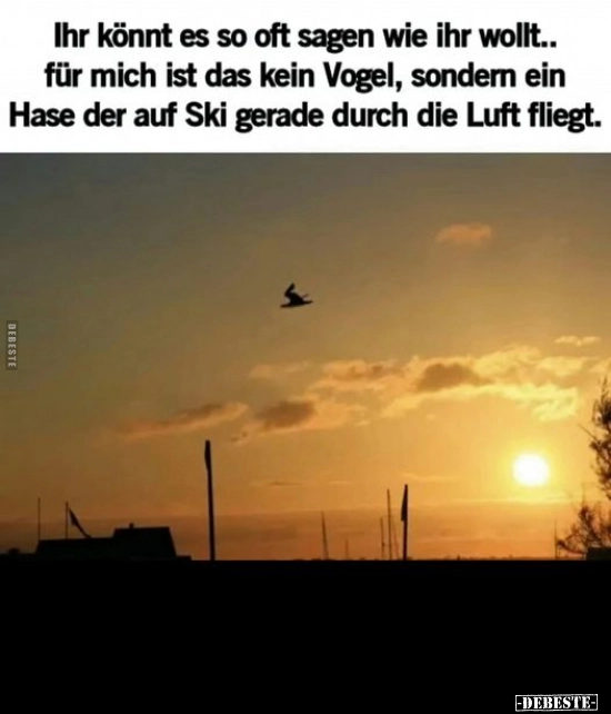 IMG-20240512-WA0014.webp