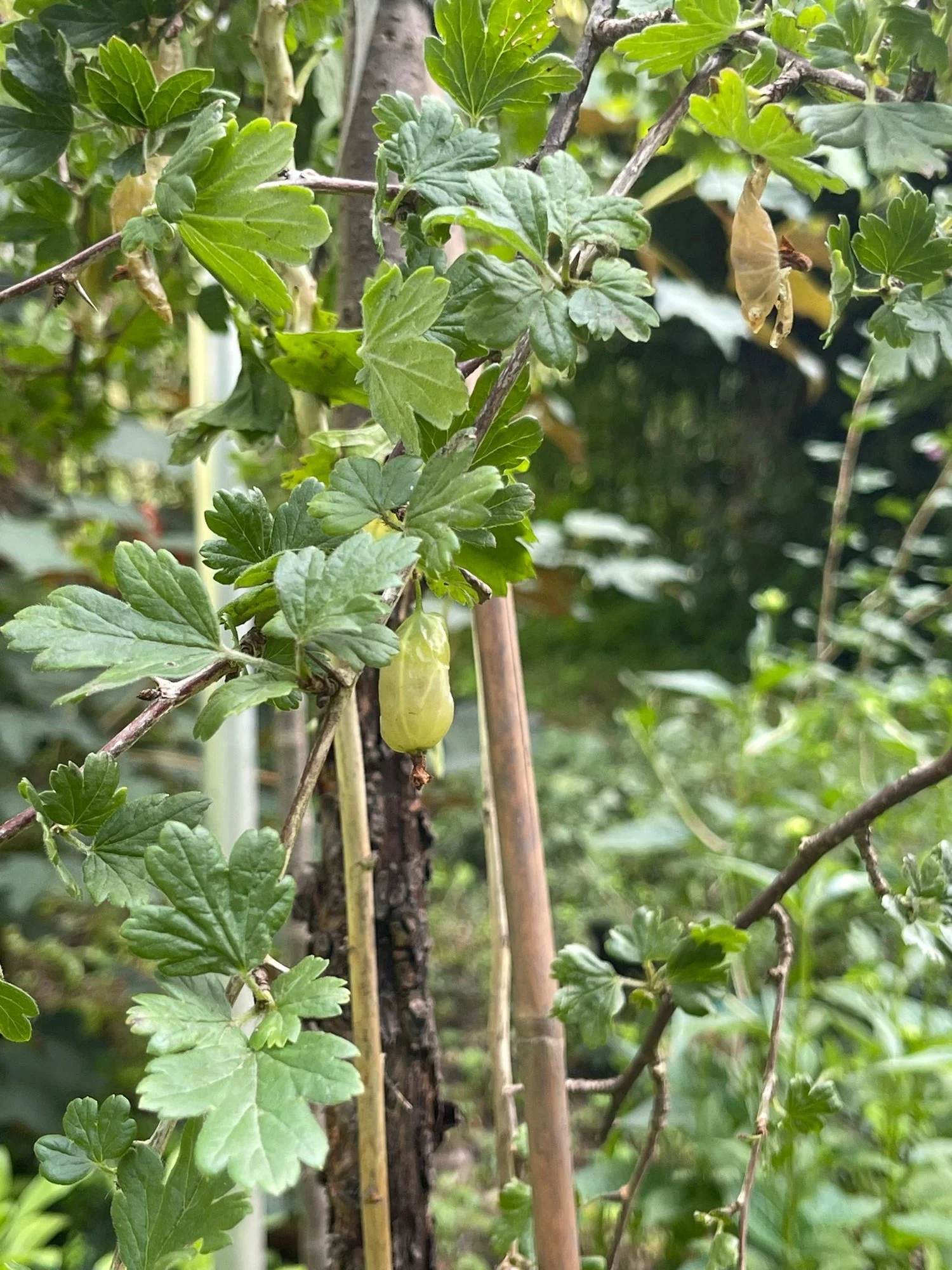 IMG-20240707-WA0006.webp