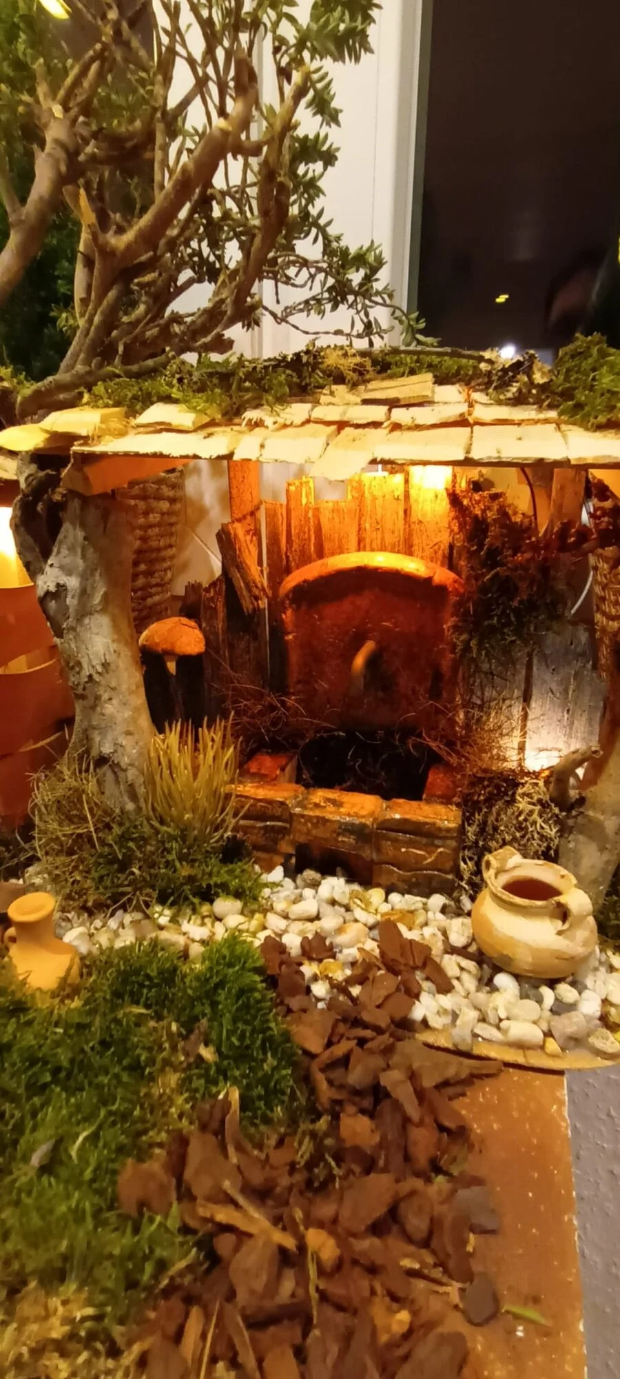 IMG-20241209-WA0030.webp