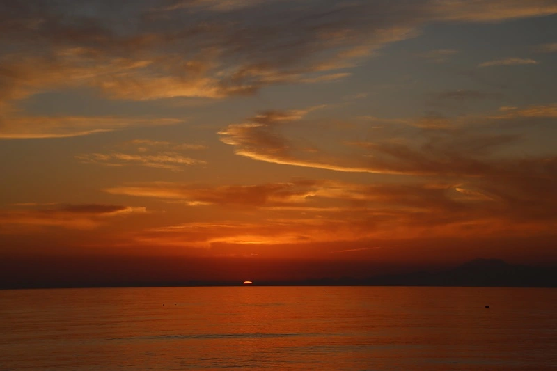IMG_0116.webp