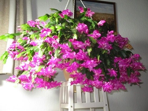IMG_0156.webp