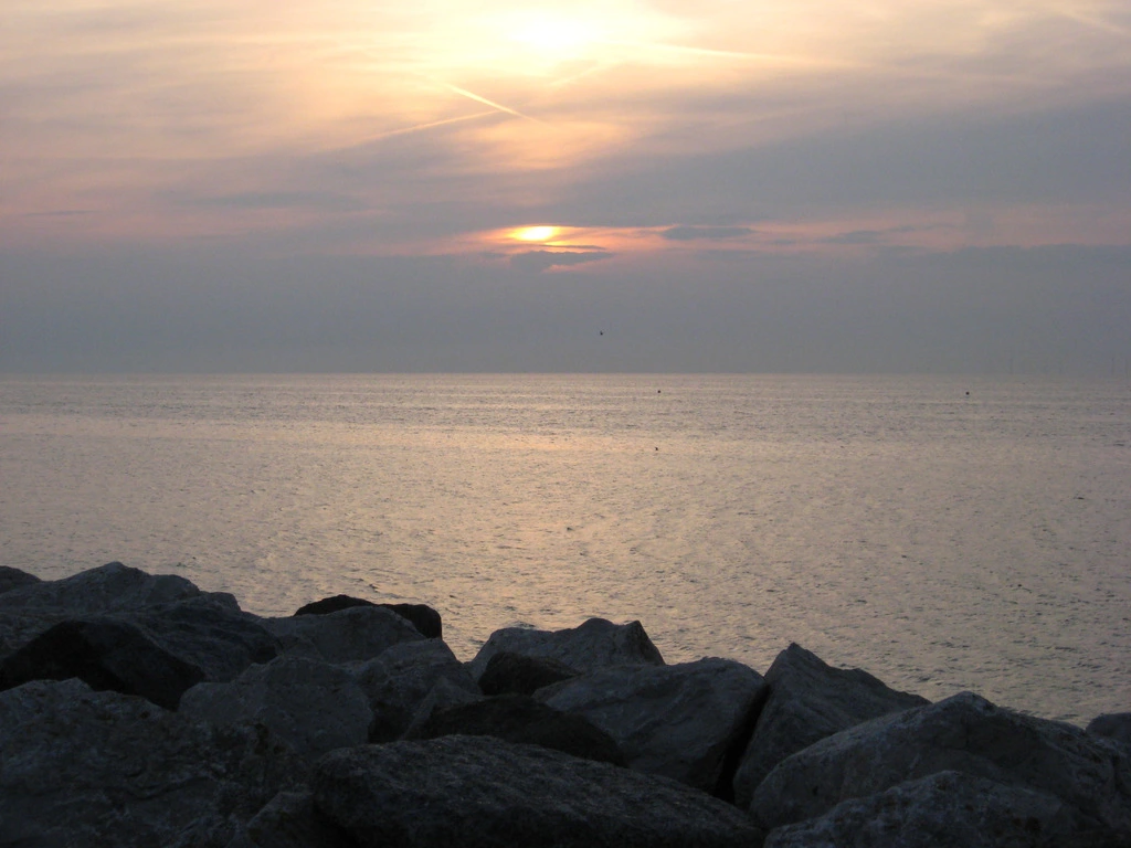 IMG_0213.webp