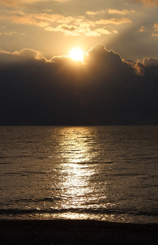 IMG_0216.webp