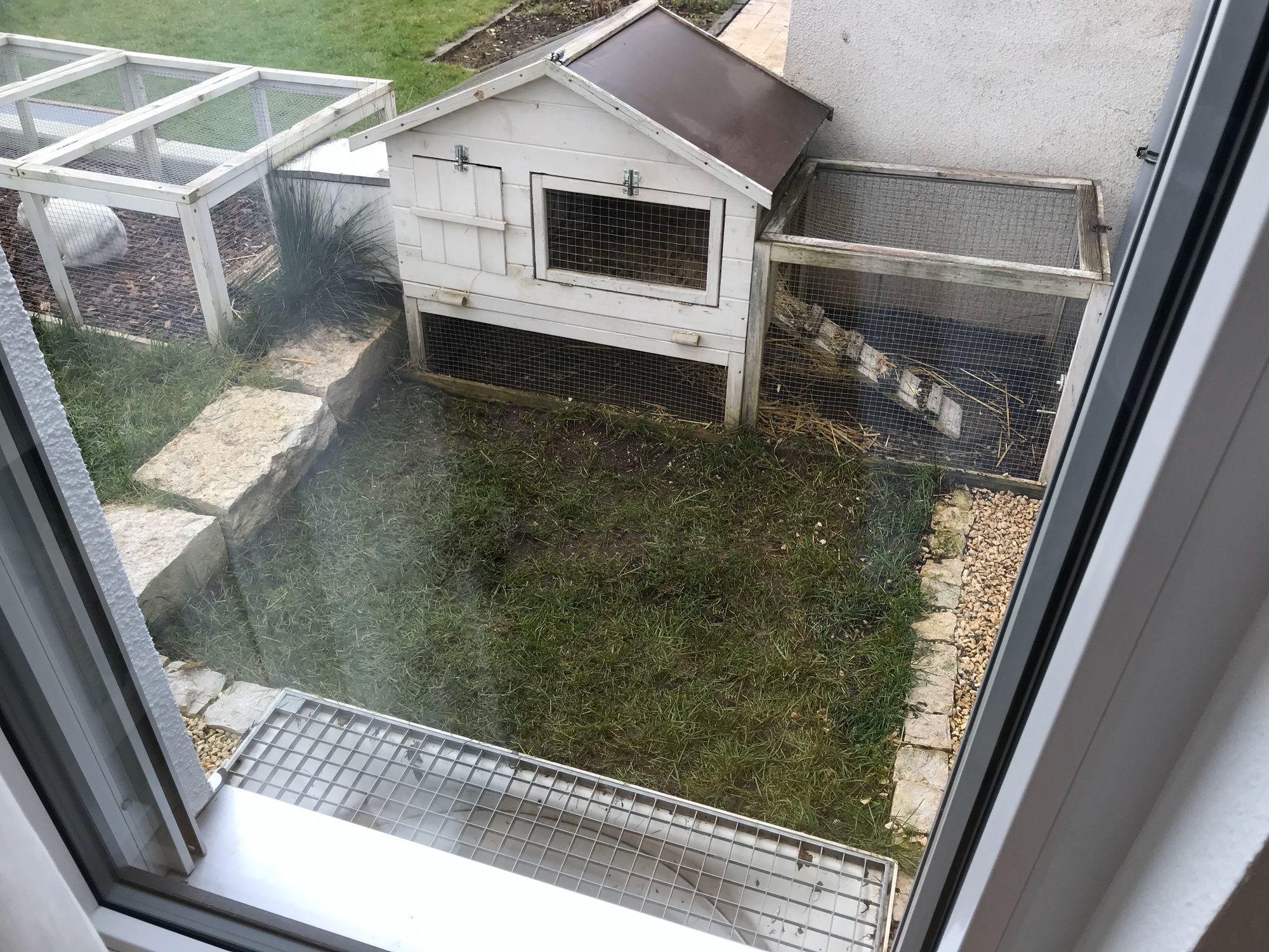 Gestaltung von kleiner Rasenfläche vor Kaninchenstall (Schandfleck