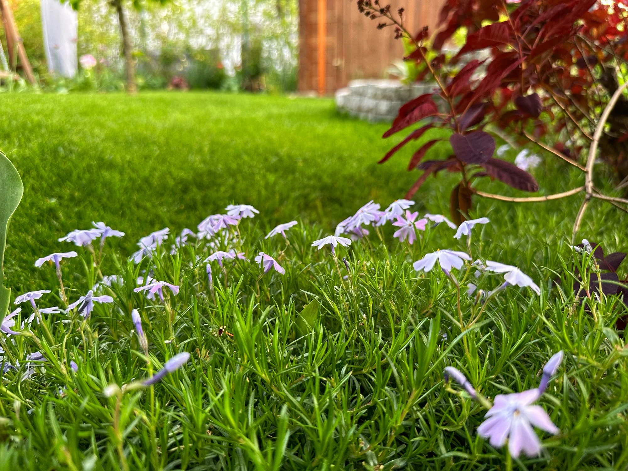 IMG_0354.webp