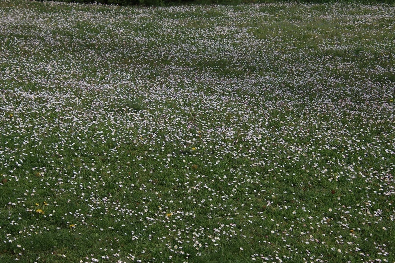 IMG_0393.webp
