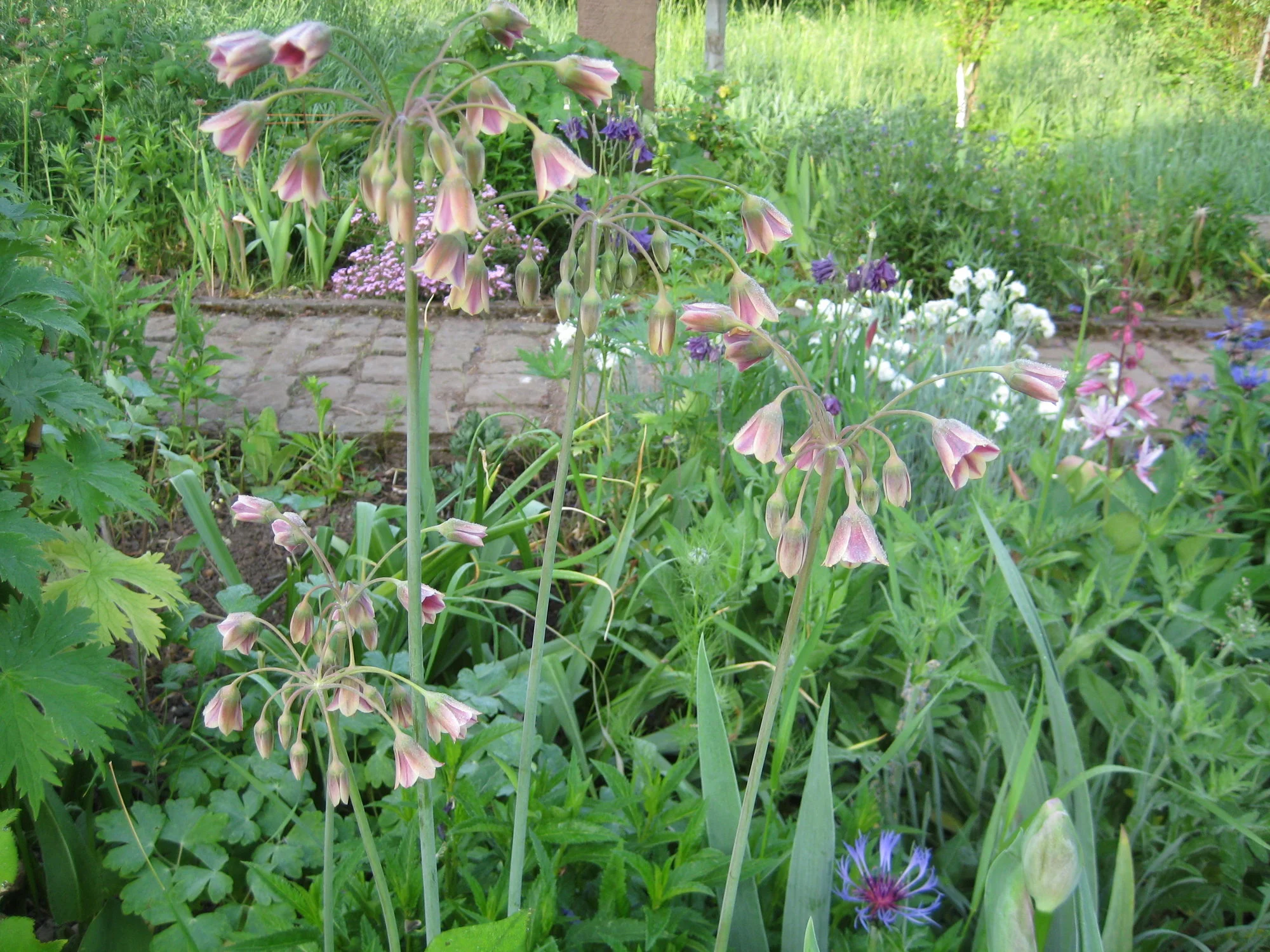 IMG_0454.webp