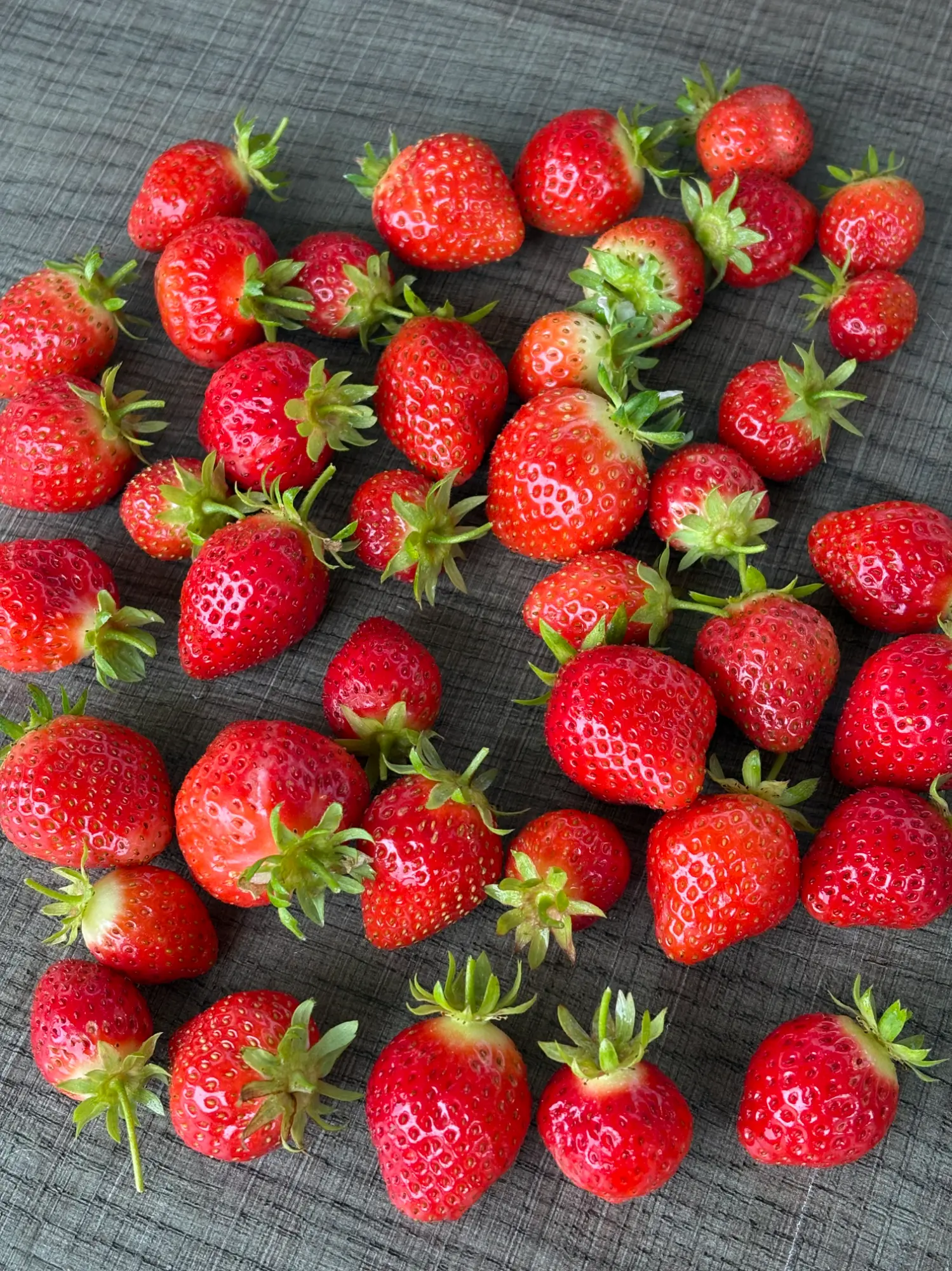IMG_0487.webp