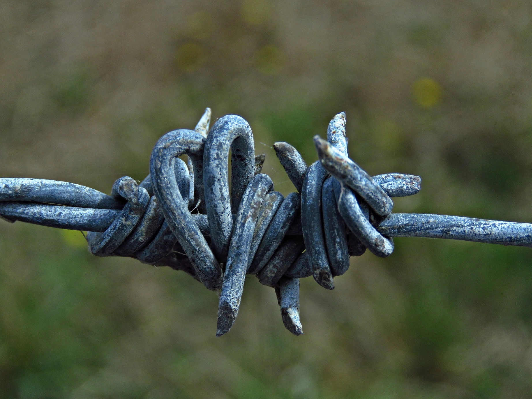 IMG_0563 v - Copy.webp