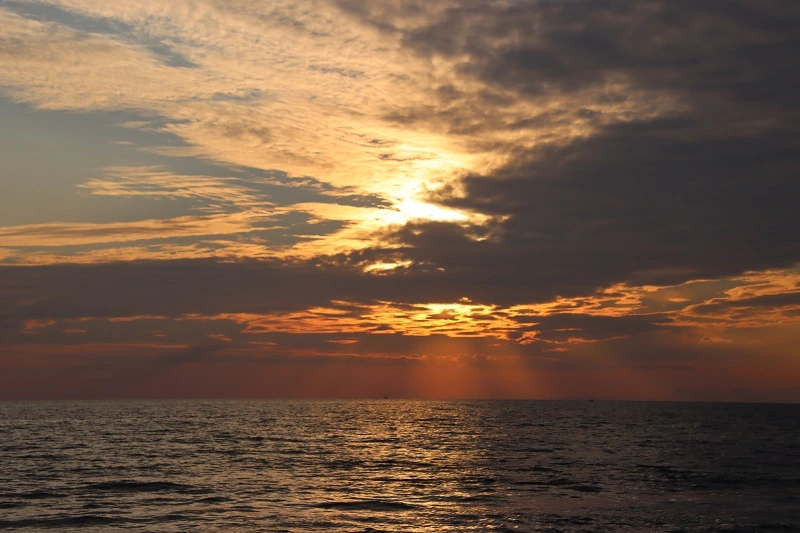 IMG_0565.webp