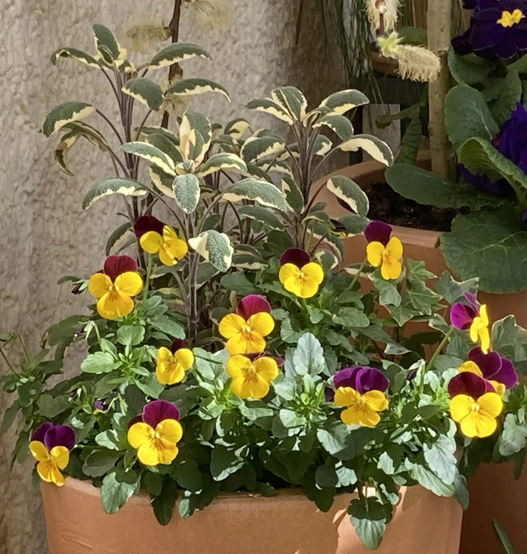 IMG_0629.jpeg