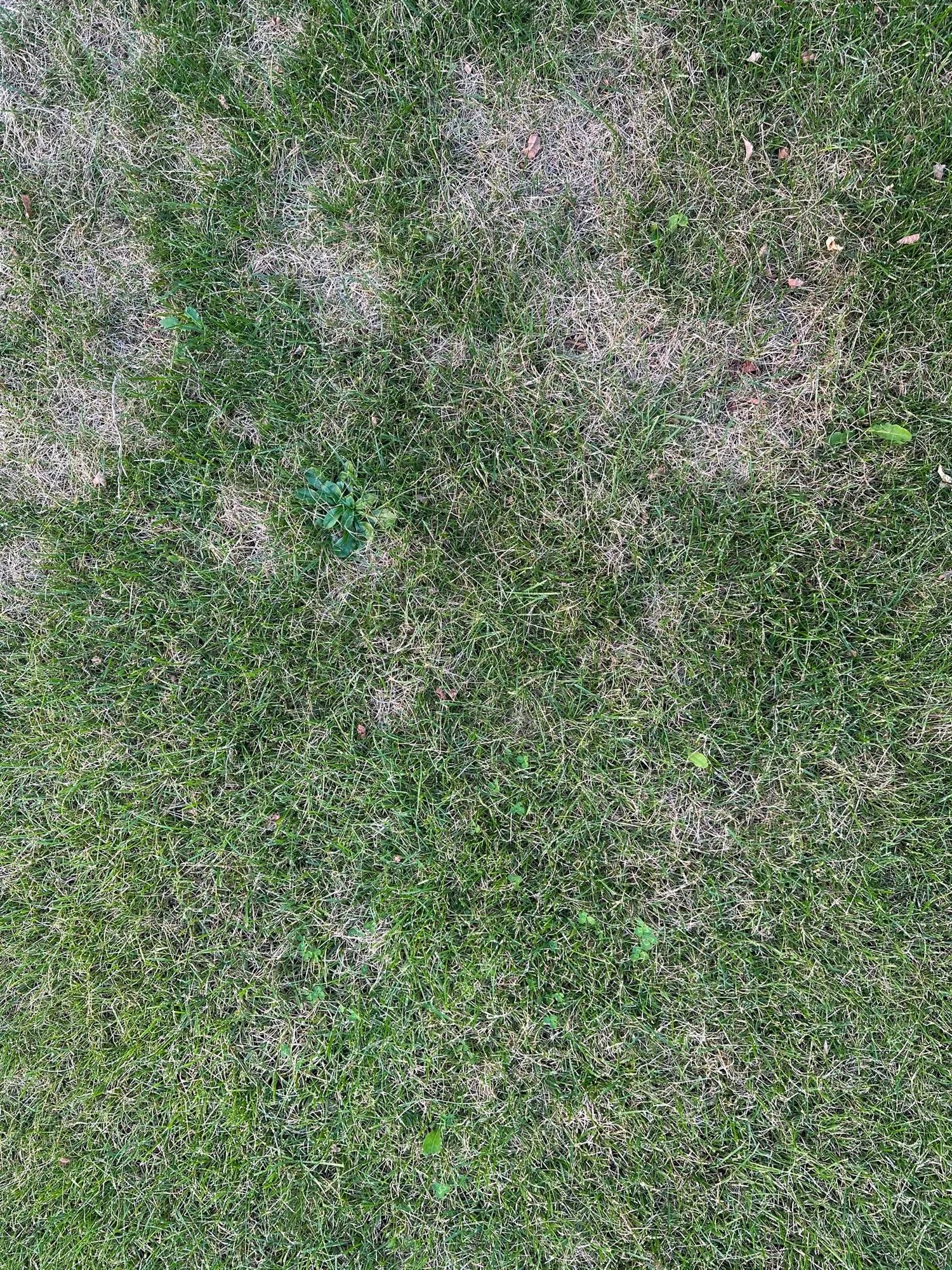 IMG_0671.JPG
