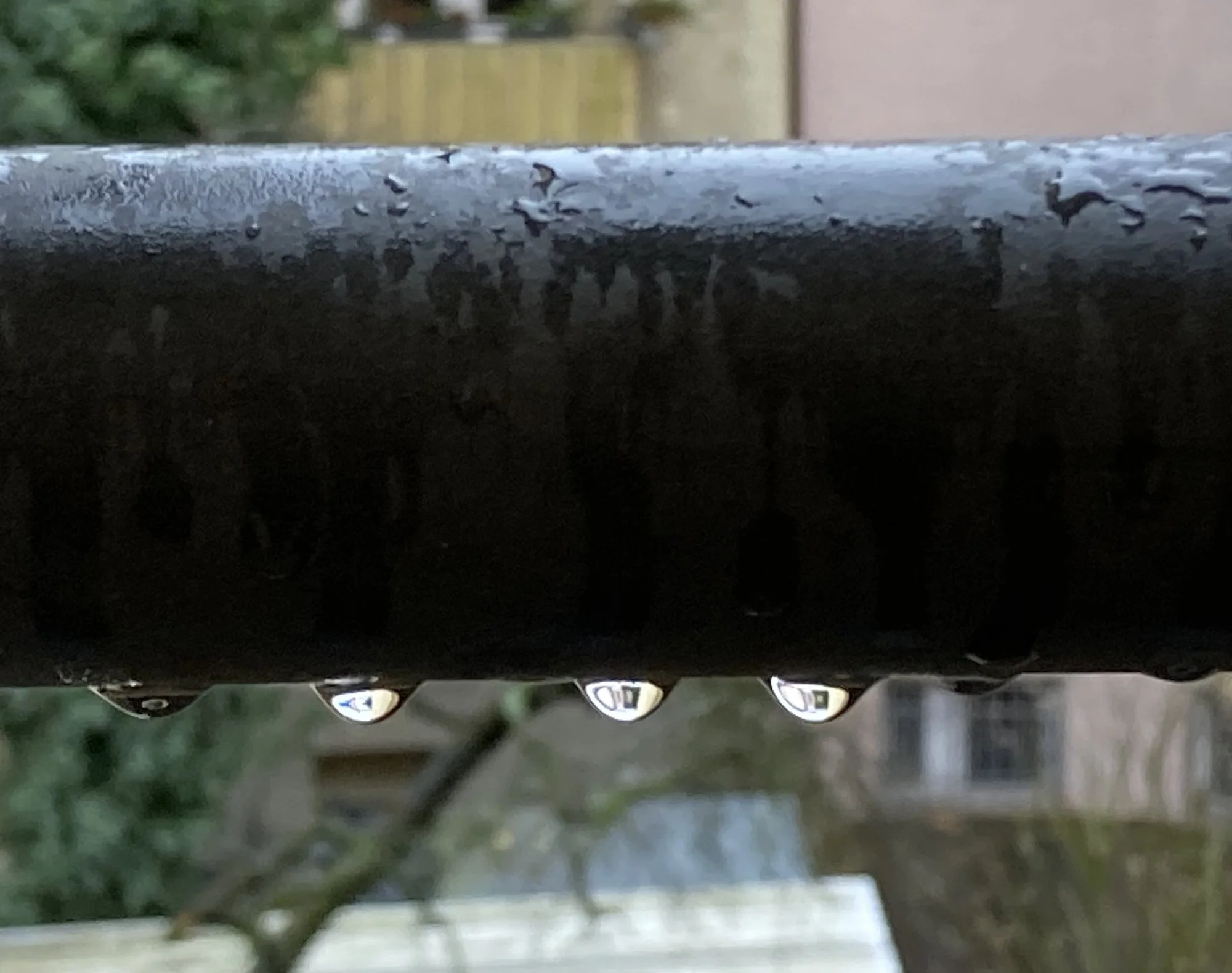 IMG_0680.jpeg